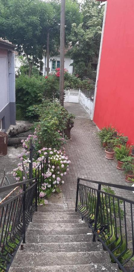 Stan Za Iznajmuvanje So Parking,Blisku Do Centar. Куманово Экстерьер фото